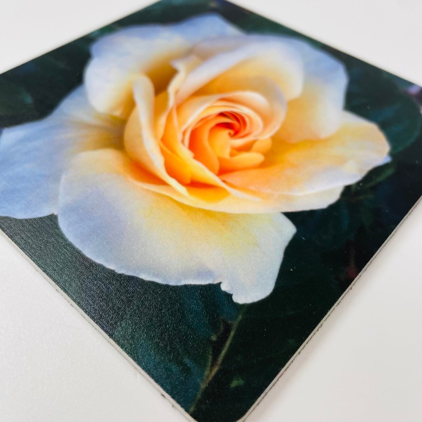 Art Coasters Set: Yellow Rose of Texas