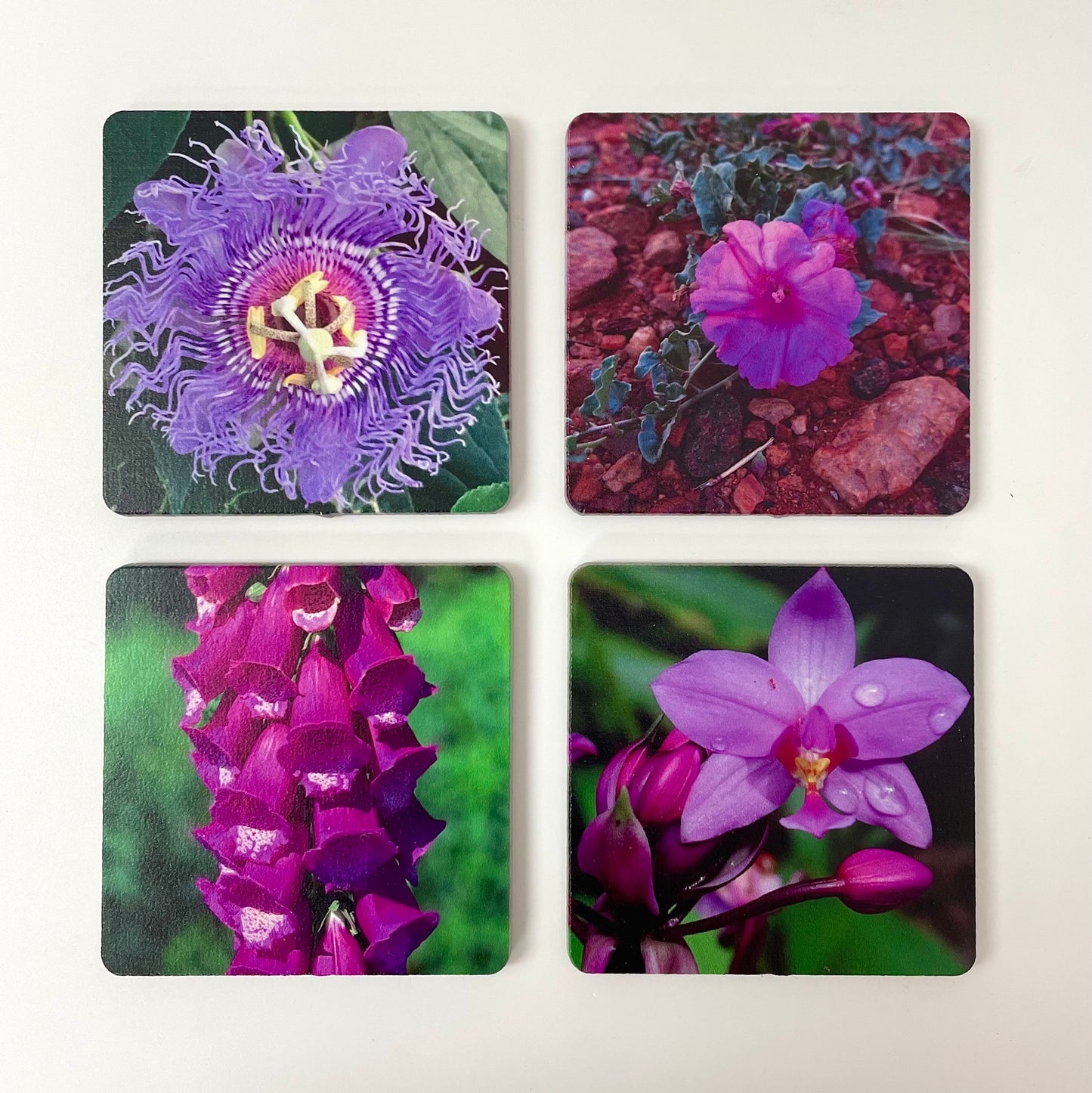 Art Coasters Set: Purple Flowers