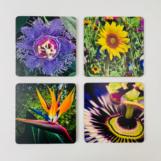 Art Coasters Set: Flowers