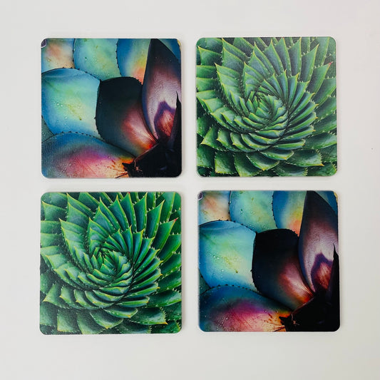 Art Coasters Set: Succulents