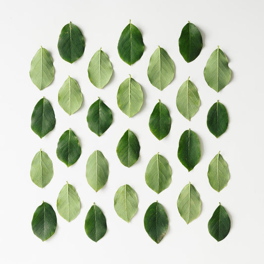 Art Tiles: Green Leaves