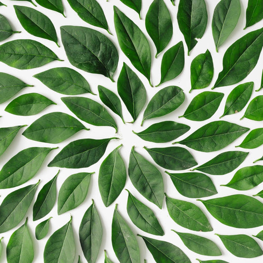 Art Tiles: Leaves