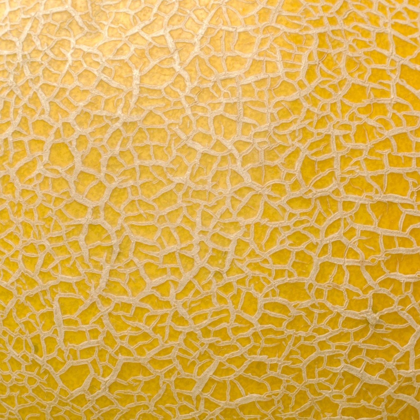 Art Tiles: Lemon Rind