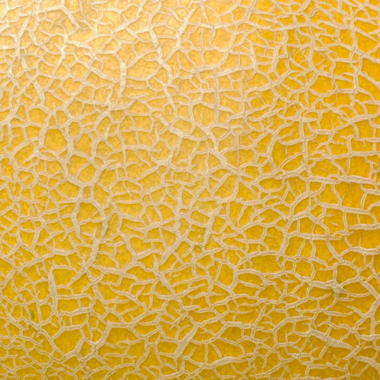 Art Tiles: Lemon Rind