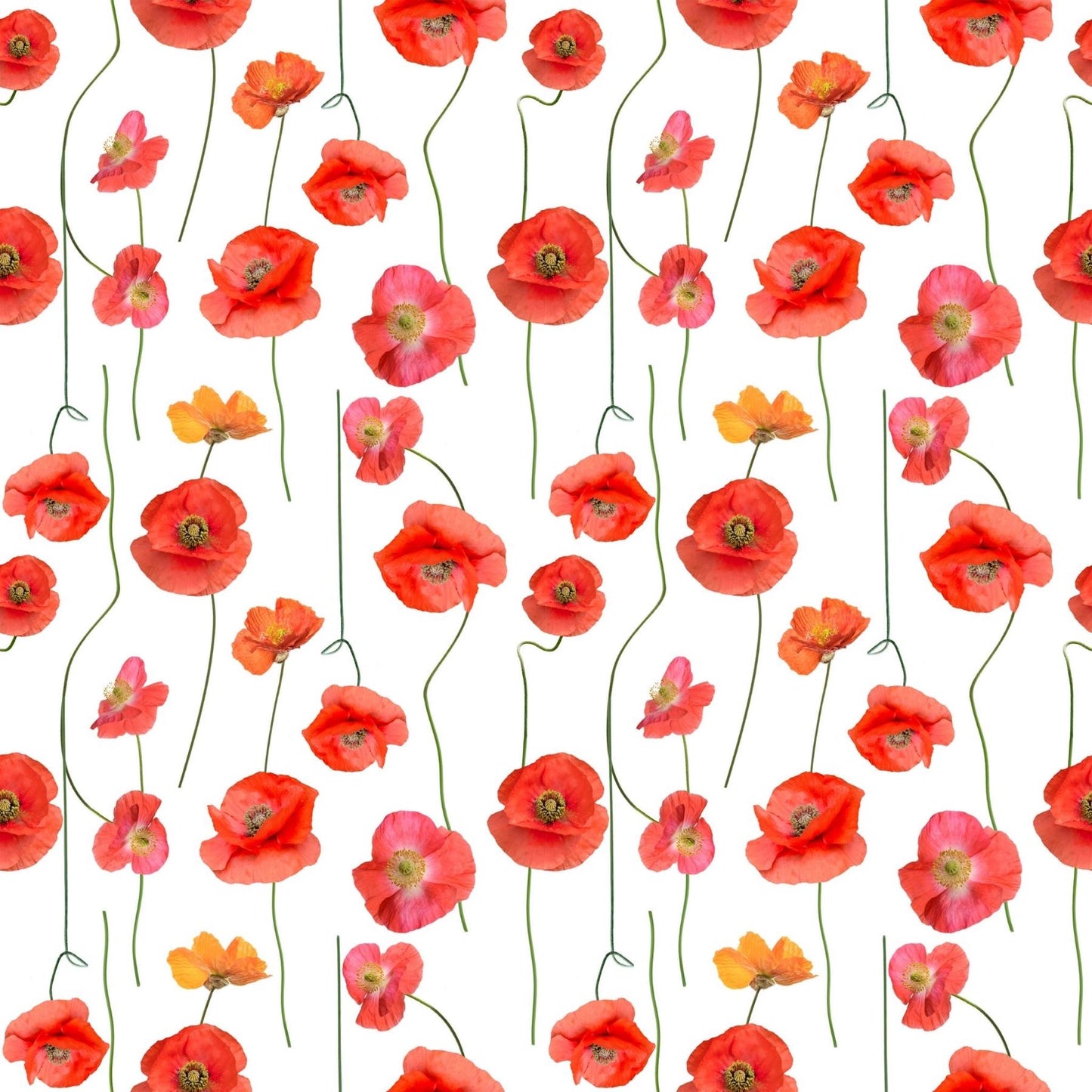 Art Tiles: Poppy Pic