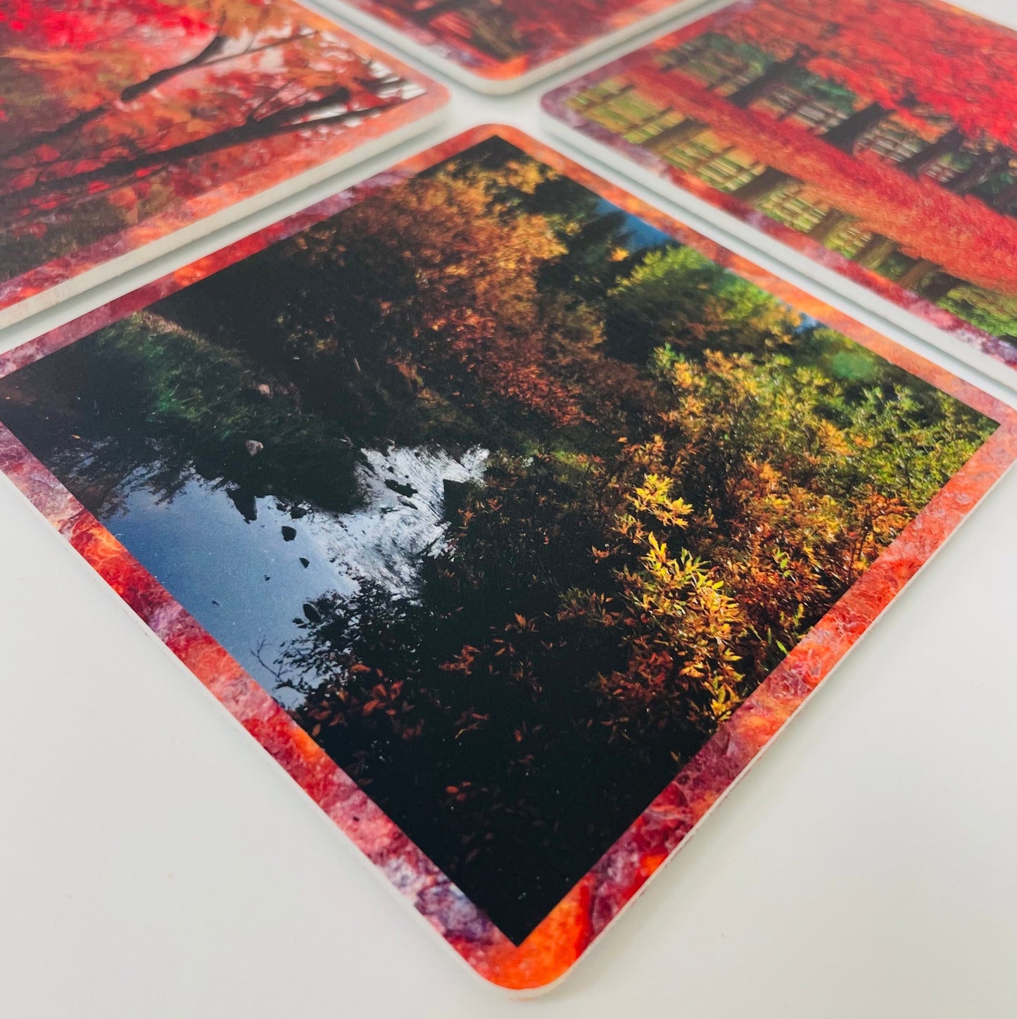 Coasters Set: Autumn