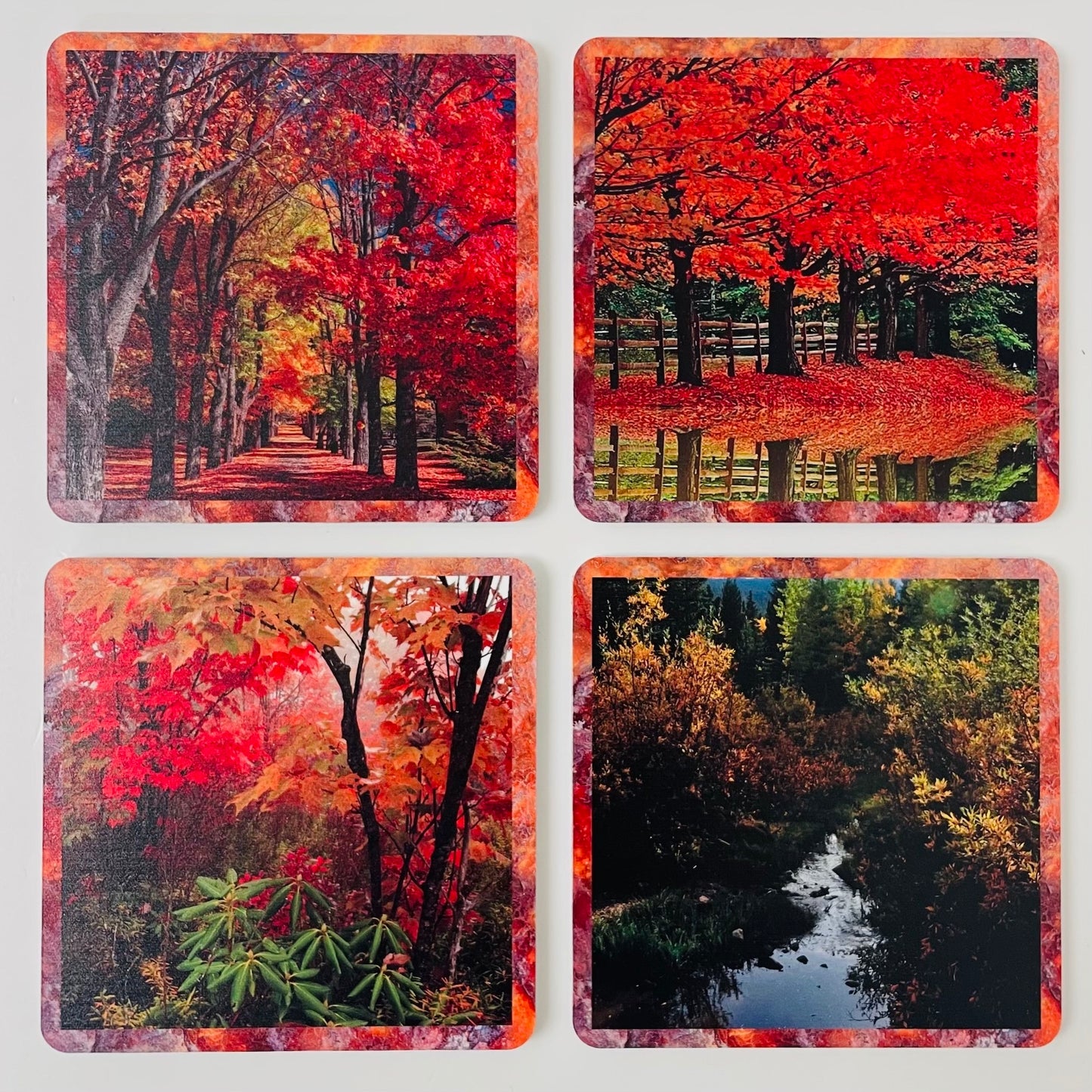 Coasters Set: Autumn