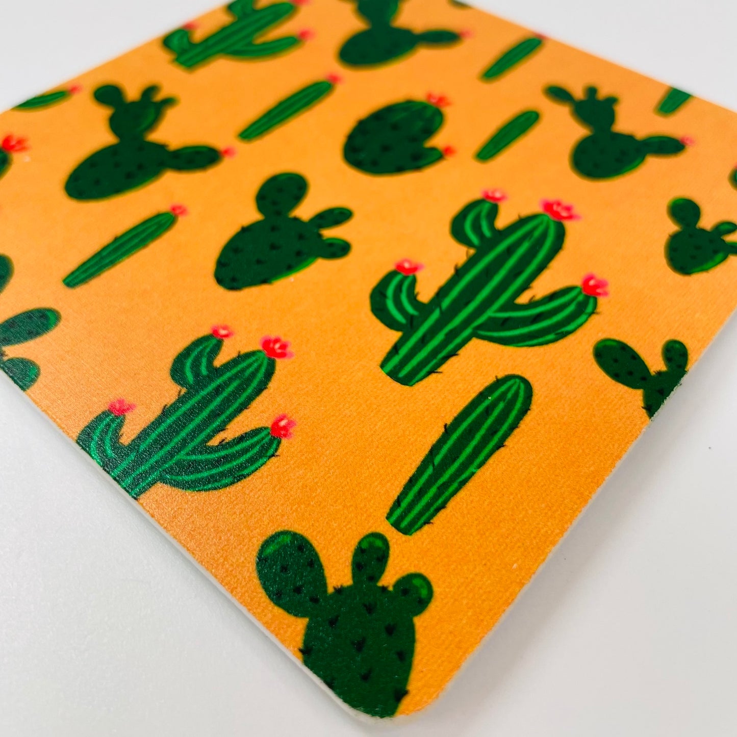 Coasters Set: Cactus pattern