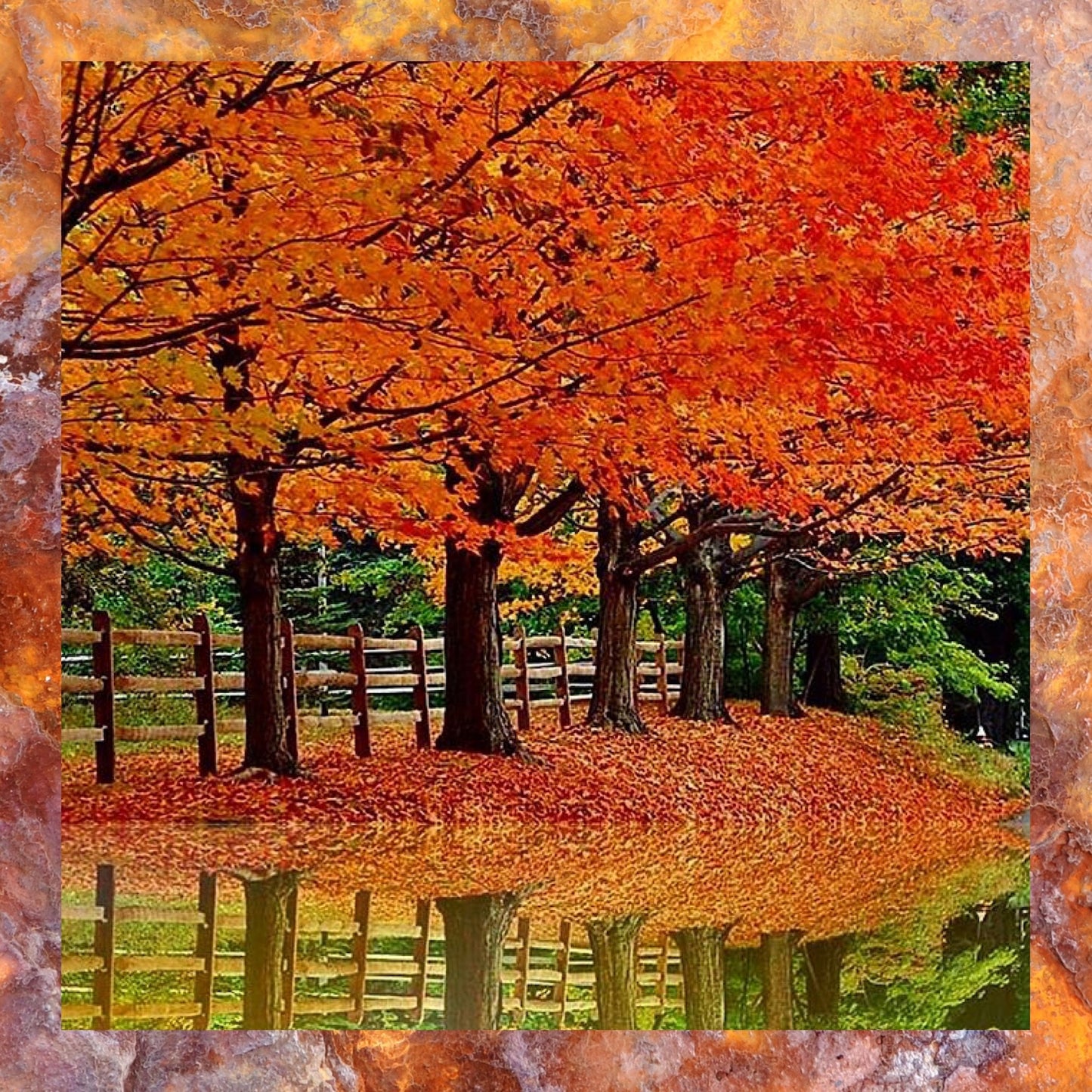 Coasters Set: Autumn